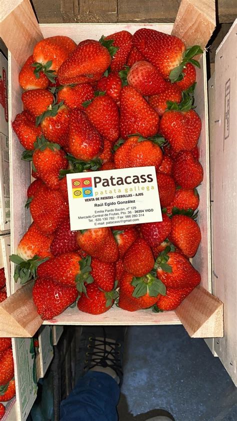 fresas de precio